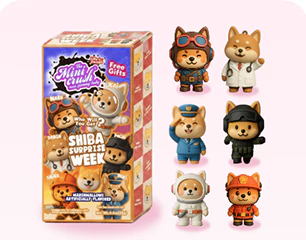 Mystery Box Collectible Candy - Surprise Inside